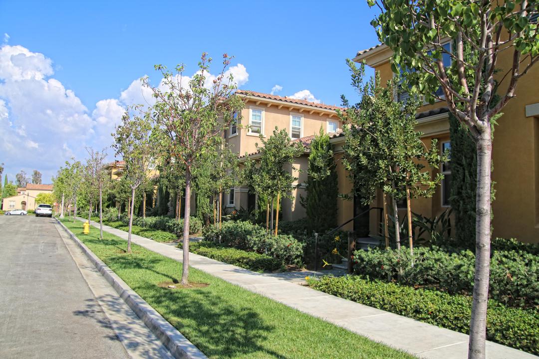Work Image